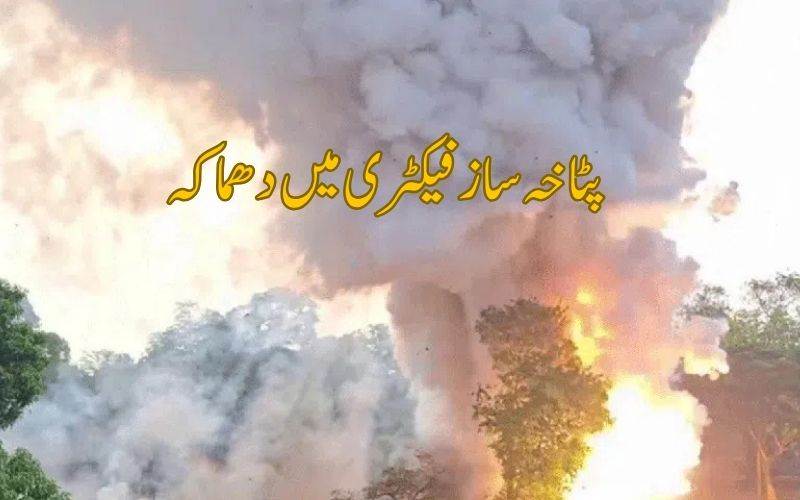 کیرالہ: تھریسور پٹاخے سازیونٹ میں دھماکہ، 12 افراد ہلاک، متعدد زخمی